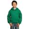 Port & Company® Colors Youth Core Fleece Pullover Hooded Sweatshirt